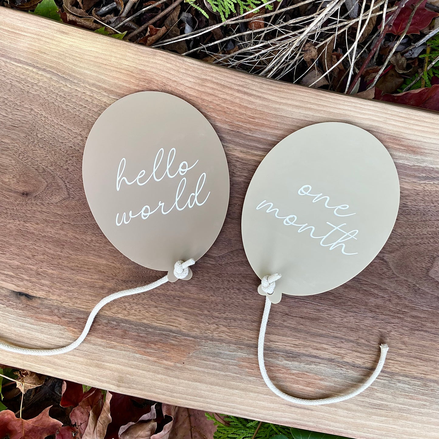Acrylic Balloon - Monthly Milestones