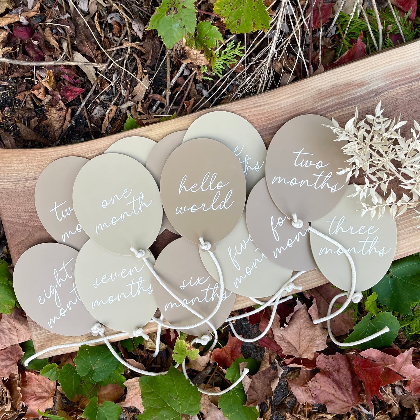 Acrylic Balloon - Monthly Milestones