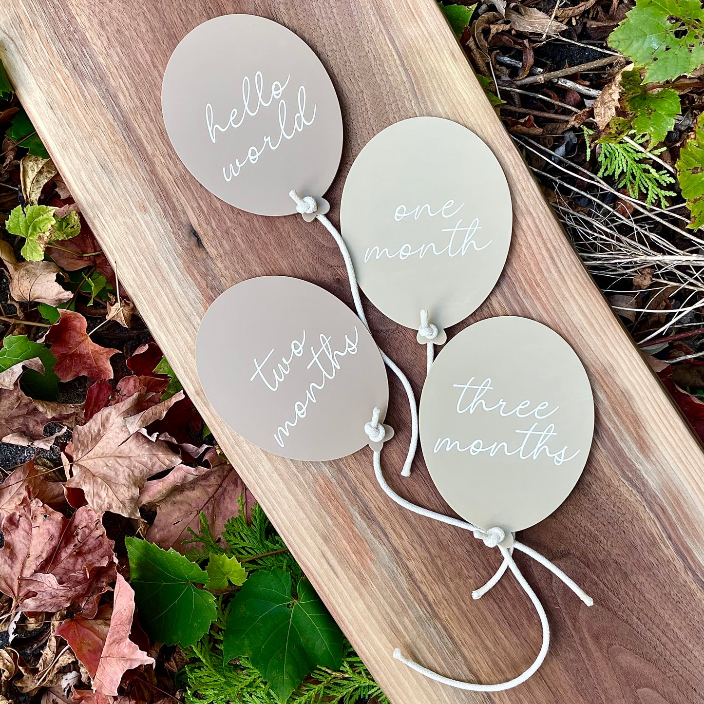 Acrylic Balloon - Monthly Milestones