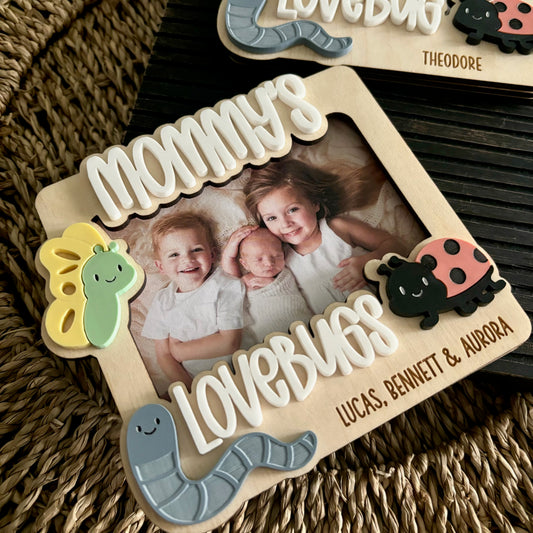 Lovebug magnetic frame