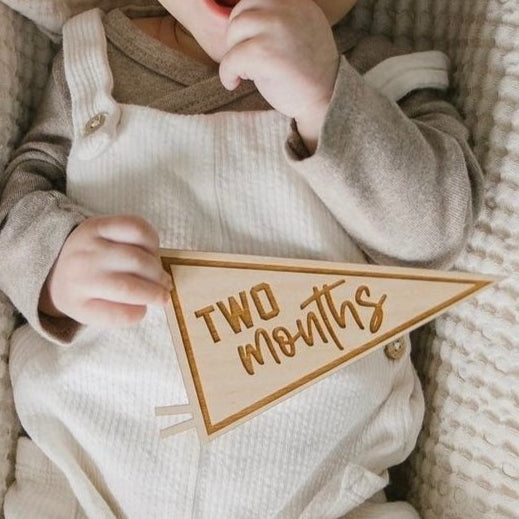 Adventure Pennant - Monthly Milestones