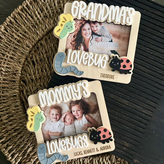 Lovebug magnetic frame